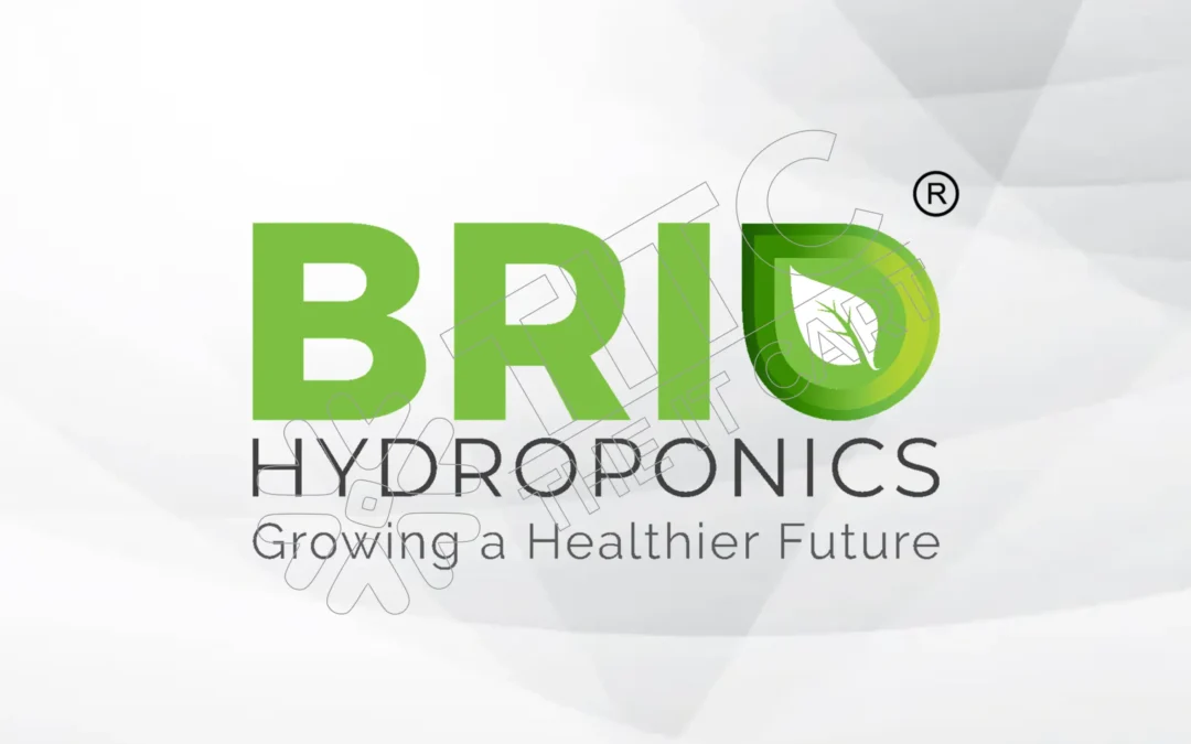 Brio Hydroponics Logo Design